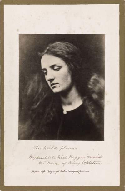 La flor silvestre de Julia Margaret Cameron
