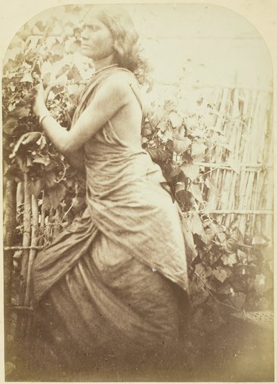 Mujer, Ceilán, 1875-79 de Julia Margaret Cameron