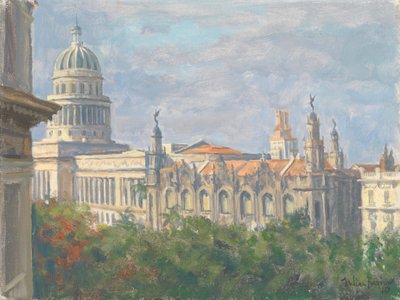El Capitolio, 2010 de Julian Barrow