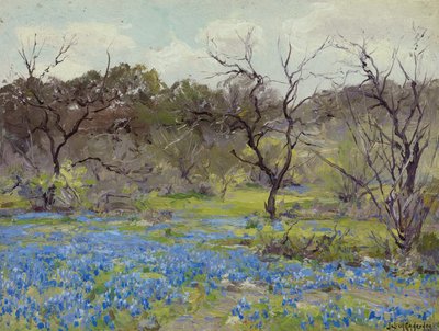 Primavera temprana—Bluebonnets y mezquite de Julian Onderdonk