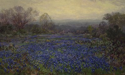 Sin título - Campo de Bluebonnets de Julian Onderdonk