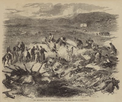 El campo de batalla del Tchernaya, enterrando a los muertos de Julian Portch