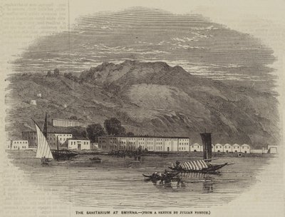 El sanatorio en Esmirna de Julian Portch