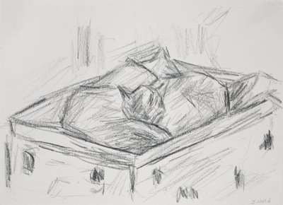 Gatos acurrucados, 2015 de Julie Held