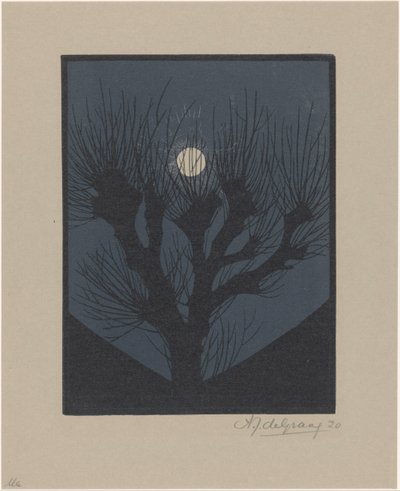 Noche de Luna de Julie de Graag (signed by artist)