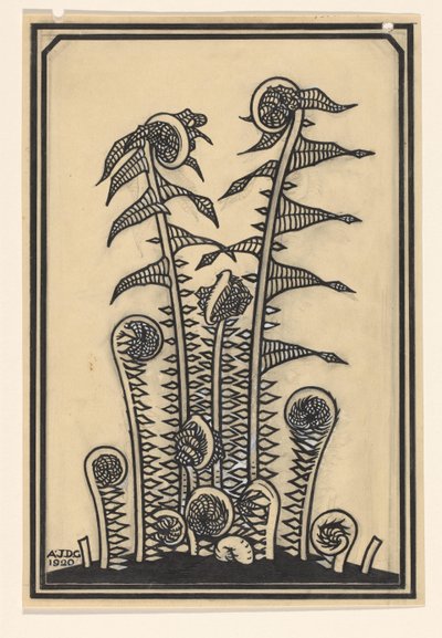 Helechos de Julie de Graag (signed by artist)