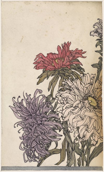 Chrysanten de Julie de Graag