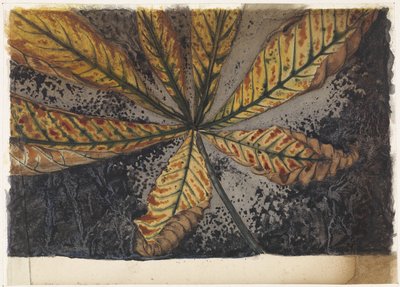 Hoja de castaño de Julie de Graag