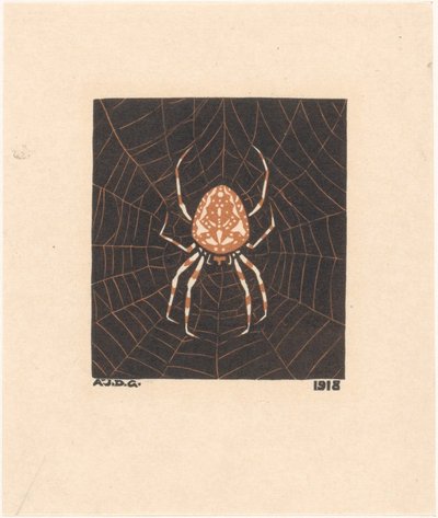 Araña en una telaraña de Julie de Graag
