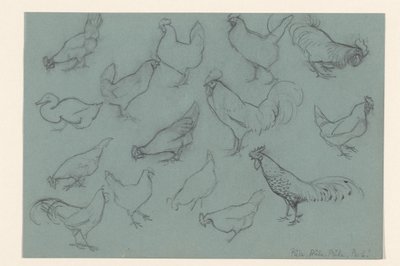 Ficha de estudio con aves de corral de Julie de Graag