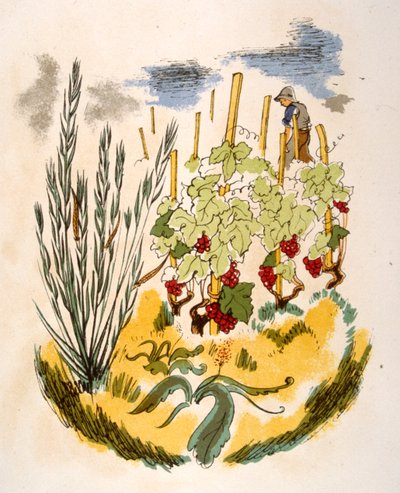 Ilustración humorística del vino 1946.Ilustración de Julien Pavil de Julien Pavil
