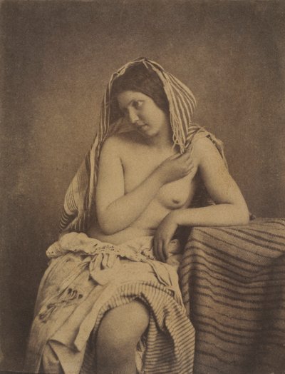 Estudio de la Naturaleza, c. 1853-1855 de Julien Vallou de Villeneuve