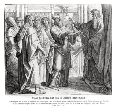 El sacerdocio de Aarón es confirmado, Números de Julius Schnorr von Carolsfeld