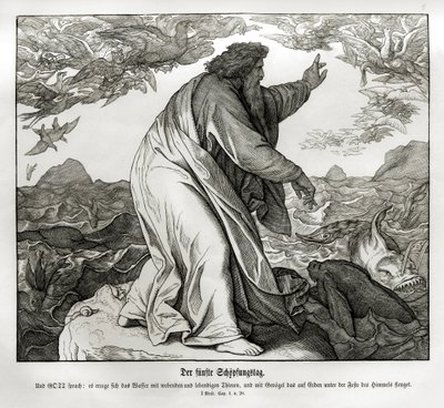 Quinto día de la creación, Génesis de Julius Schnorr von Carolsfeld