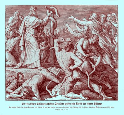 Moisés y la serpiente de bronce, Números de Julius Schnorr von Carolsfeld