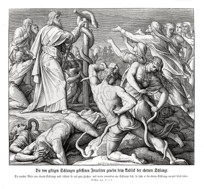Moisés y la serpiente de bronce, Números de Julius Schnorr von Carolsfeld