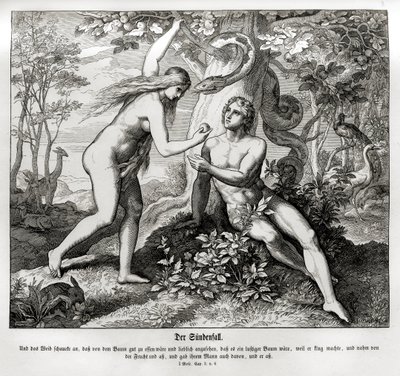 La caída, Génesis de Julius Schnorr von Carolsfeld