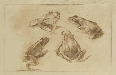 Ranas de Julius Wohlers