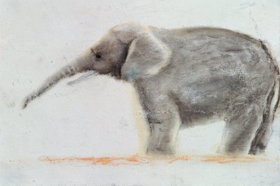 Elefante de Jung Sook Nam