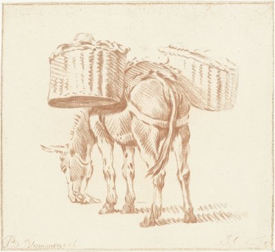 burro cargado de Jurriaan Cootwijck
