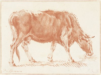 Vaca de pastoreo de Jurriaan Cootwijck
