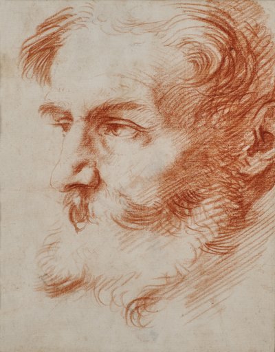 Cabeza de hombre barbudo de Jusepe de Ribera