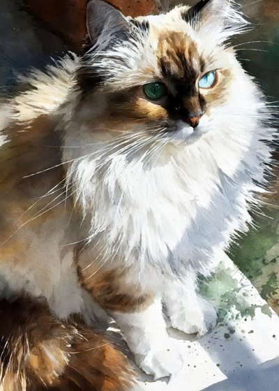 Gato de acuarela con ojos brillantes de Justyna Jaszke