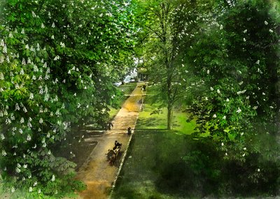 Sendero de Spring Park de Justyna Jaszke
