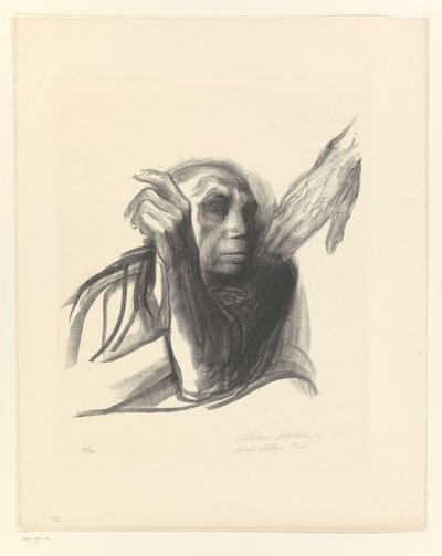 Käthe Kollwitz como anciana con la mano en el hombro
Ruf des Todes (título original)
Muerte (título de la serie)
Tod (título original de la serie) de Käthe Kollwitz (signed by artist)
