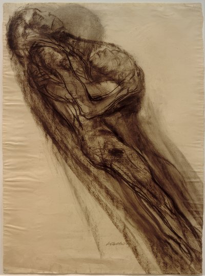 Muerte y mujer, flotando de Käthe Kollwitz