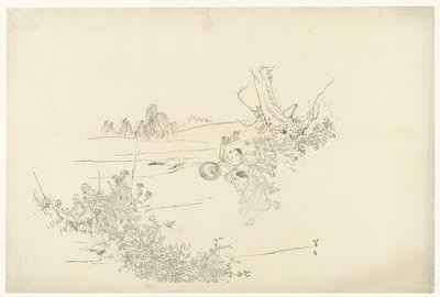 atrapando mariposas de Kajita Hanko