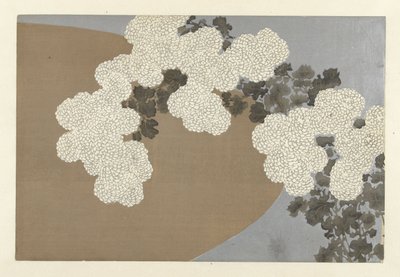 Crisantemos, 1909 de Kamisaka Sekka