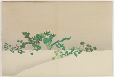 Flowers of a Hundred Worlds (Momoyogusa): Seven Herbs of Early Spring (Nanagusa) de Kamisaka Sekka