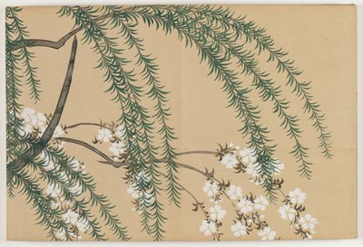 Flowers of a Hundred Worlds (Momoyogusa): Willow and Cherry (Yanagizakura) de Kamisaka Sekka