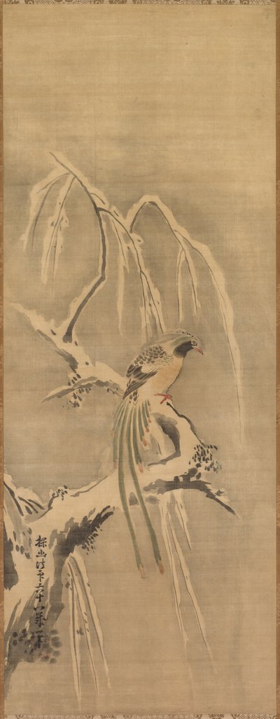 Chinese Bird on Snow-Laden Branch de Kanō Tan’yū