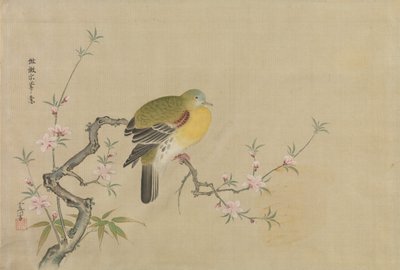 Álbum de copias de pinturas chinas, siglo XVII de Kanô Yôboku Tsunenobu