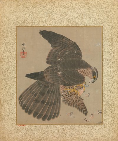 Álbum de halcones y caligrafía, siglo XVII-XVIII de Kanô Yôboku Tsunenobu