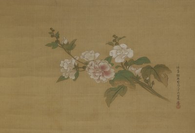 Una rama de hibisco en flor, Período Edo de Kano Tanyu