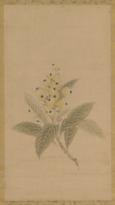Una rama de nísperos, período Edo, siglo XVII de Kanō Tan’yū