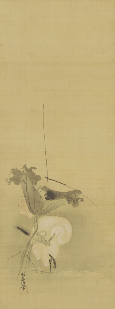Garza y loto, período Edo, mediados del siglo XVII-principios del siglo XVIII de Kano Tsunenobu