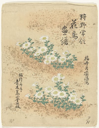 Índice Bocetos de flores y pájaros de Kano Tsunenobu (título de la serie) Kano Tsunenobu kacho gafu (título de la serie en el objeto) de Kano Tsunenobu