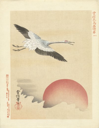 Grúa volando en luna roja Bocetos de flores y pájaros de Kano Tsunenobu (título de la serie) Kano Tsunenobu kacho gafu (título de la serie en el objeto) de Kano Tsunenobu