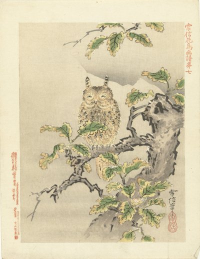 búho en rama Bocetos de flores y pájaros de Kano Tsunenobu (título de la serie) Kano Tsunenobu kacho gafu (título de la serie en el objeto) de Kano Tsunenobu