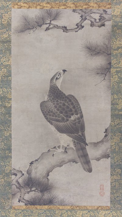 Halcón en un pino Shoo zu, siglo XVI de Kano Yukinobu