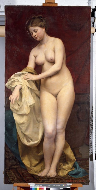 Bañista de Karel De Kesel
