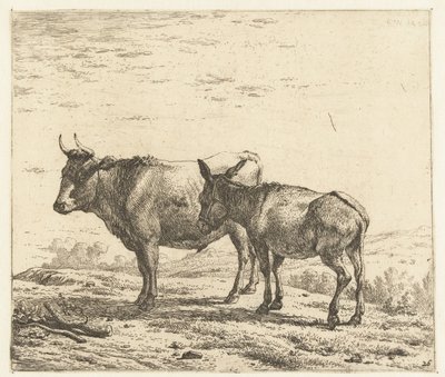 buey y un burro de Karel Du Jardin