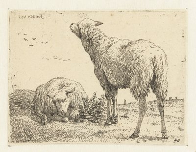 dos ovejas de Karel Du Jardin