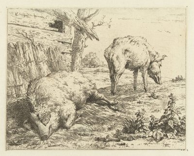 dos jabalíes de Karel Du Jardin