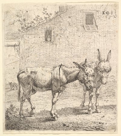 Dos burros de pie en un patio con hierba, uno en vista de perfil mirando a la derecha y otro detrás..., 1652 de Karel Du Jardin