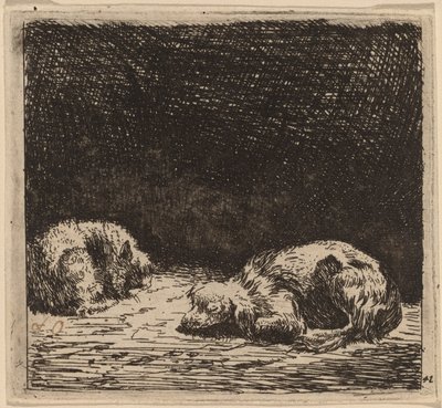 Perro y Gato de Karel Dujardin